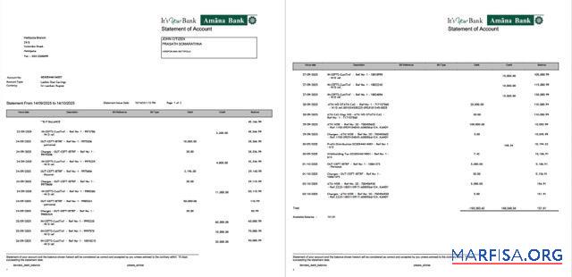 Blank Sri Lanka Amana Bank statement of account word 2 pages example